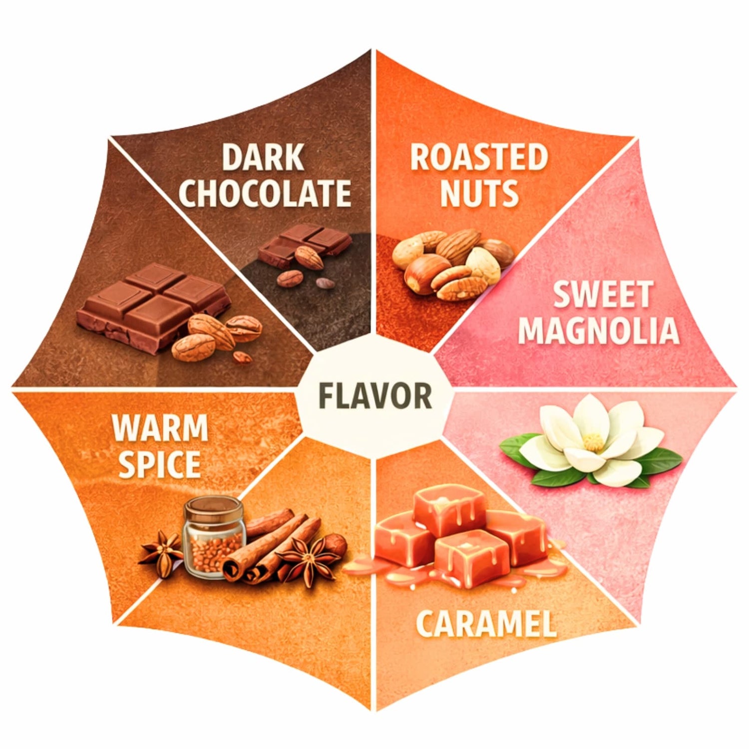 Flavor wheel with dark chocolate, roasted nuts, sweet magnolia, warm spice, and caramel.