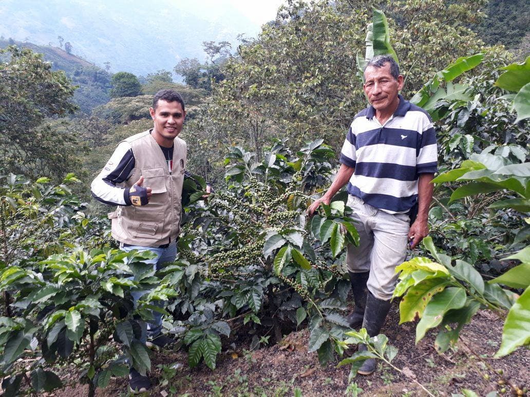 Two men standing among coffee plants in a Colombian coffee farm