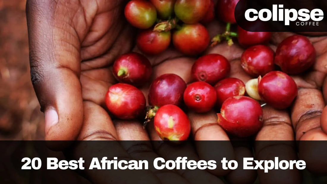 A pair of hands holds a handful of ripe African coffee cherries, illustrating the vibrant red color of the fruit.