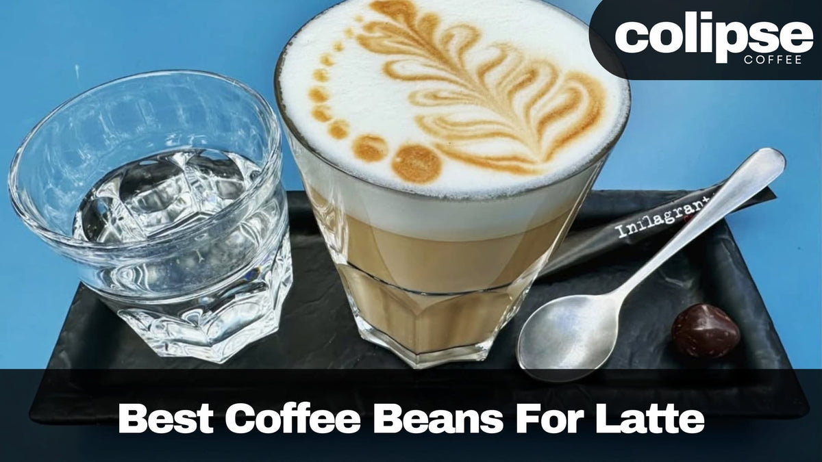 View of Best Coffee Beans For Latte: Top 7 Picks – Colipse