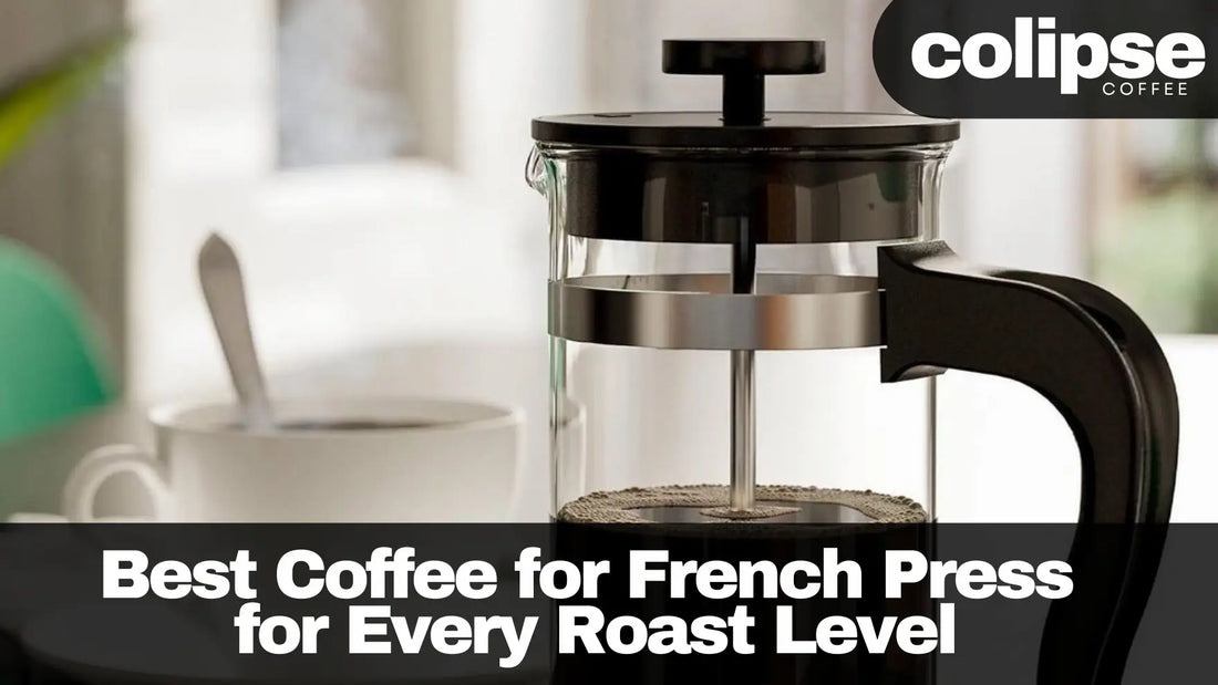 best coffee for french press