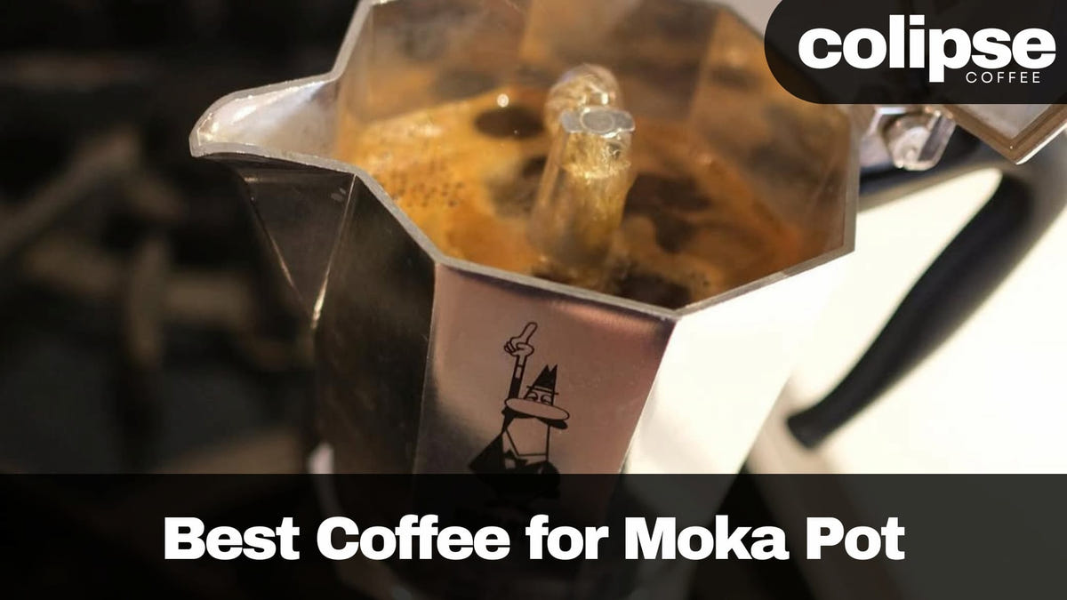 best coffee for moka pot