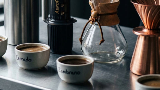 Best Colombian Coffee: What Makes It the Best and How to Choose