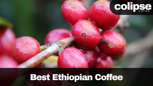 best ethiopian coffee