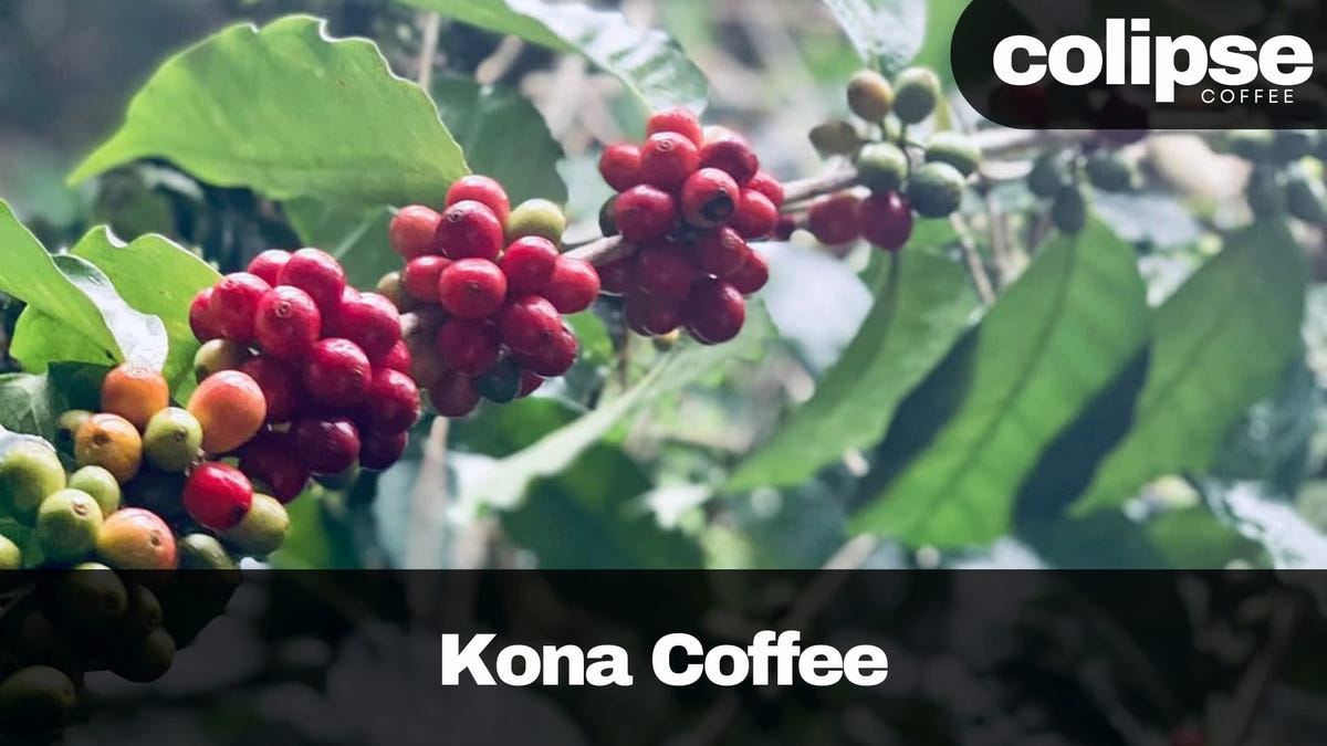best kona coffee