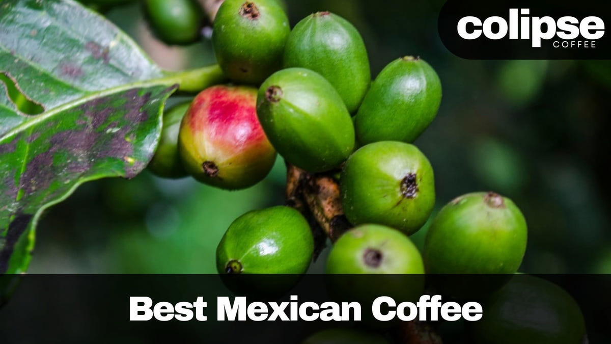 best mexican coffee beans