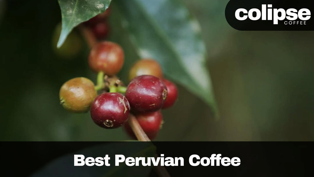 best Peruvian coffee brands