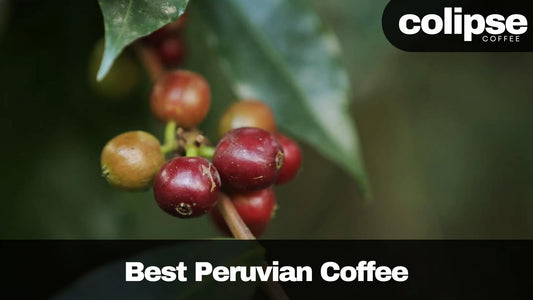 best Peruvian coffee brands