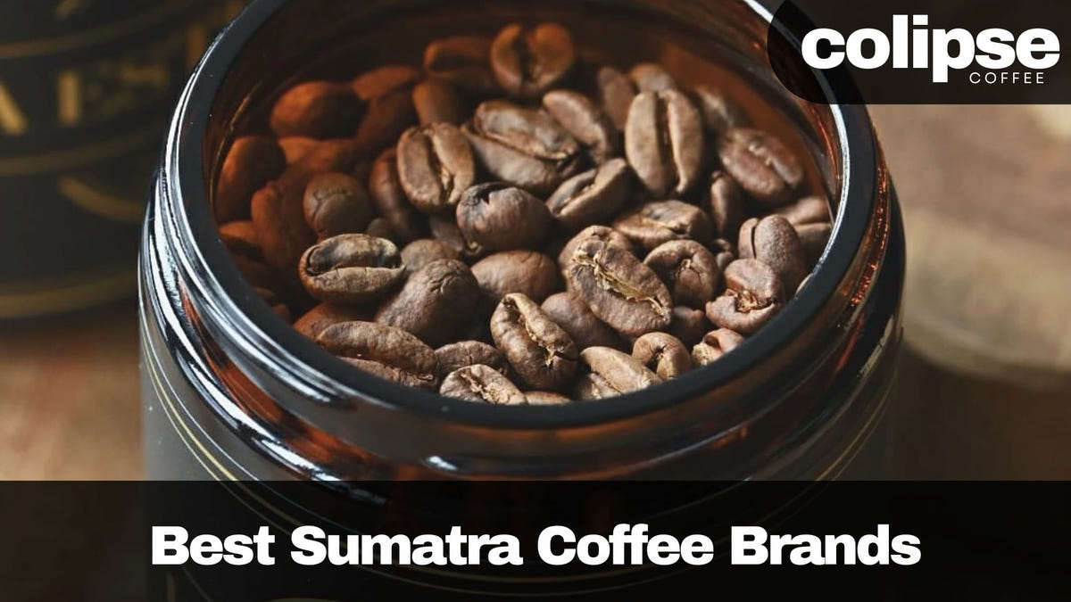 Jar of coffee beans with 'colipse Coffee' branding and text about best Sumatra coffee brands.