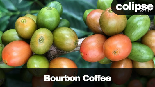 bourbon coffee beans