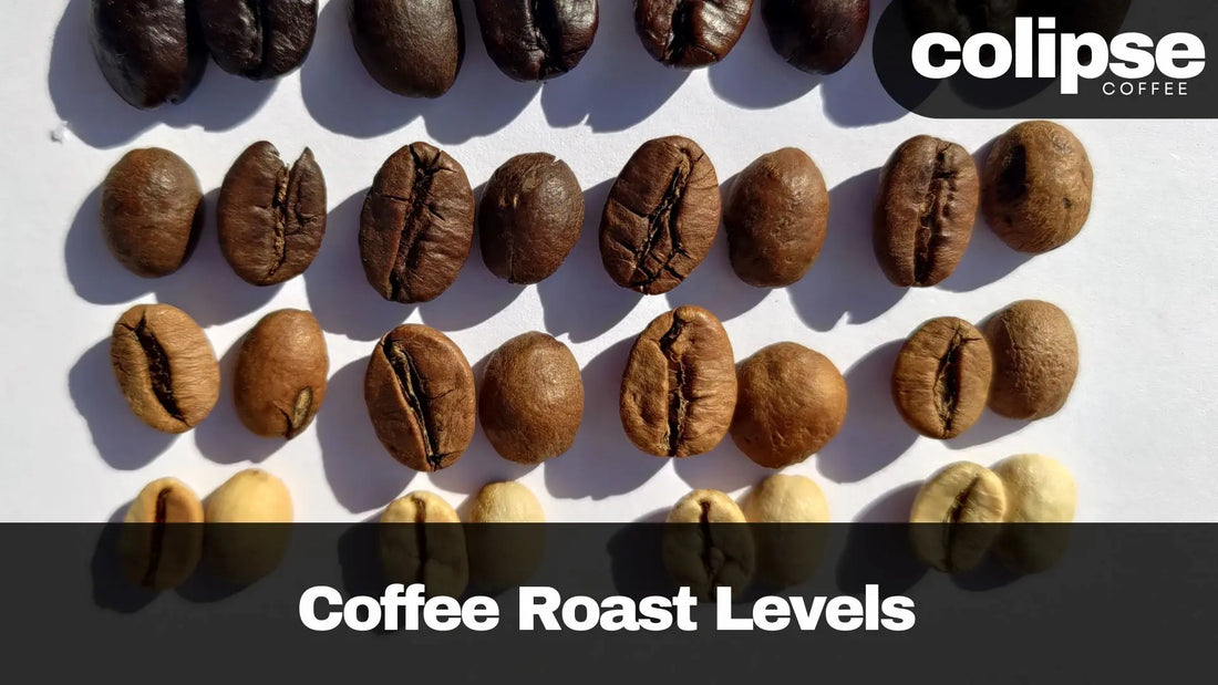 coffee roast levels