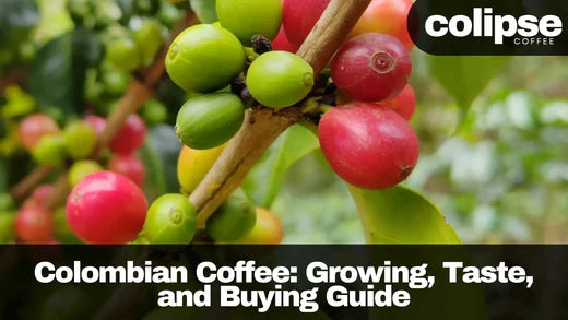 Colombian Coffee: Growing, Taste, and Buying Guide