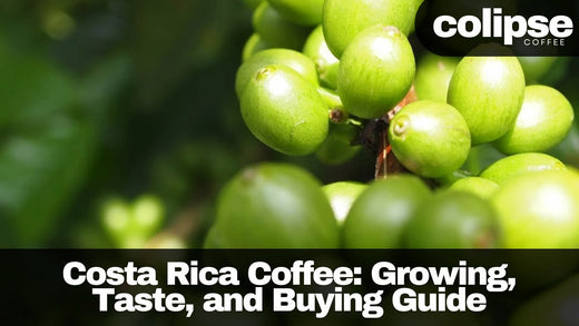 costa rican coffee beans