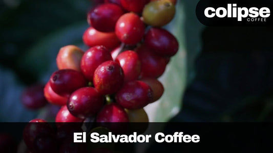 Close-up of red coffee berries with 'colipise Coffee' branding and 'El Salvador Coffee' text.