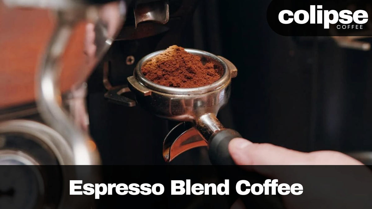 espresso blend coffee beans