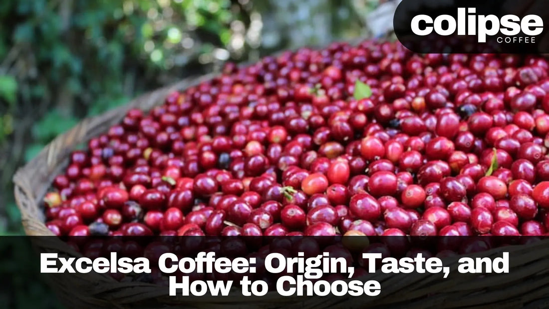 excelsa coffee beans