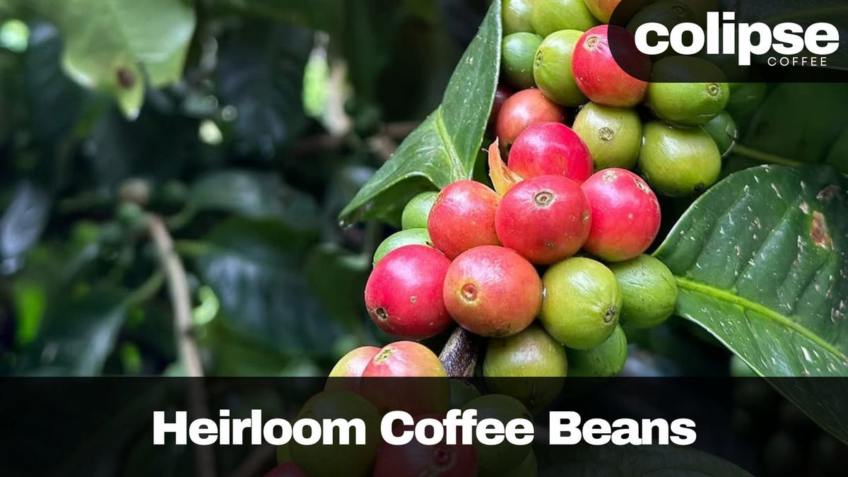 Heirloom Coffee Beans