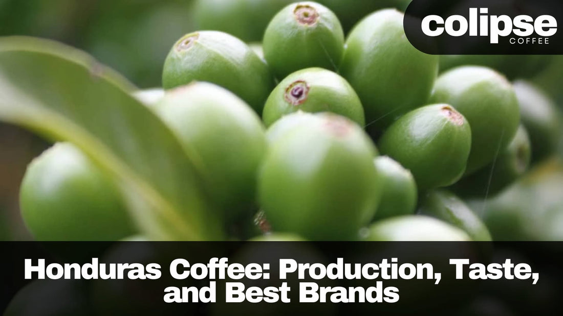 honduras coffee beans