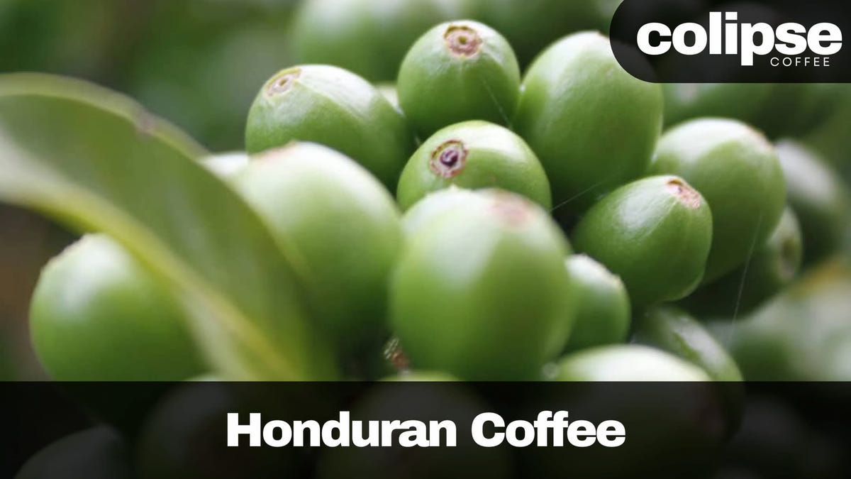 best honduras coffee beans