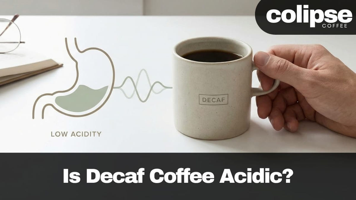 Hand holding a decaf coffee mug with a diagram of the stomach and text about decaf being low acidity, featuring Colipse Coffee branding.
