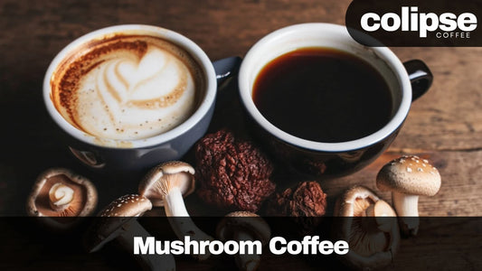 Two cups of coffee surrounded by dried and fresh mushrooms, representing mushroom coffee.