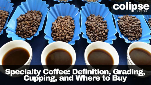 Standard cupping process for evaluating specialty coffee quality and flavor.