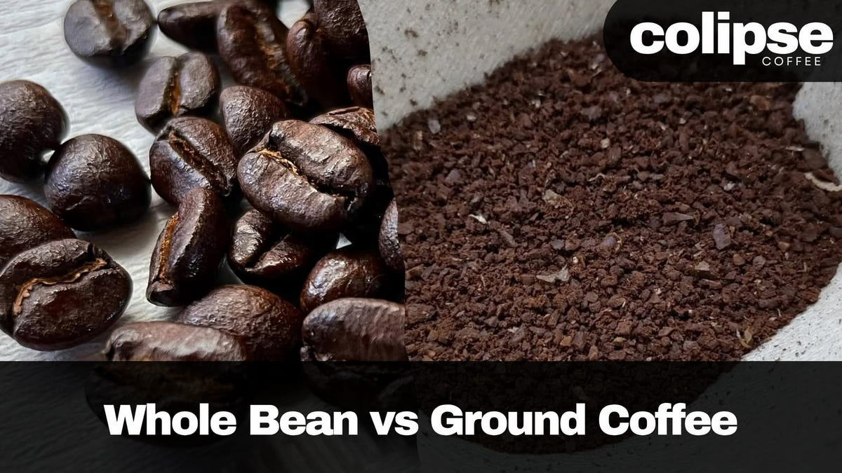 ground coffee vs whole bean