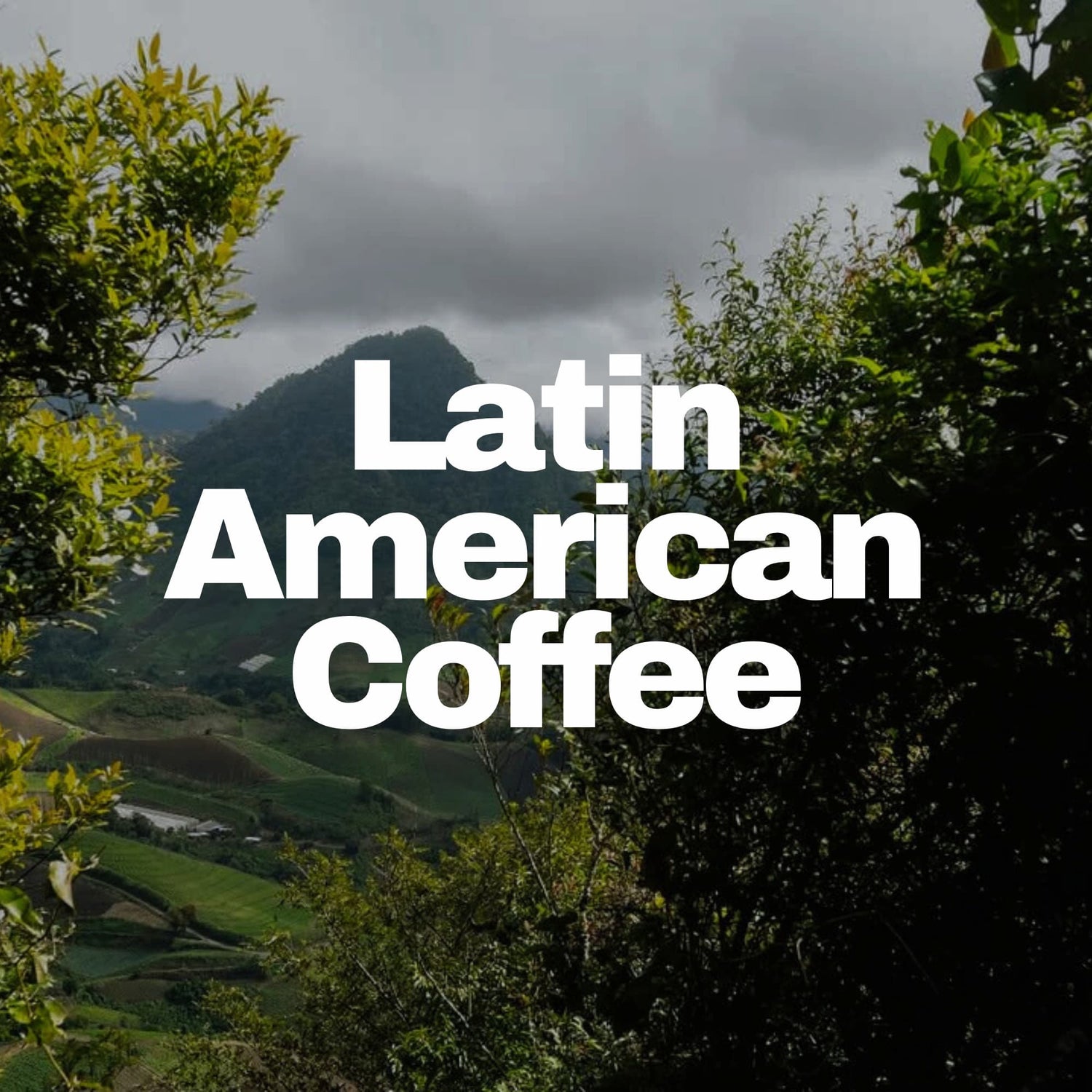 Mountainous landscape representing Latin American Coffee.