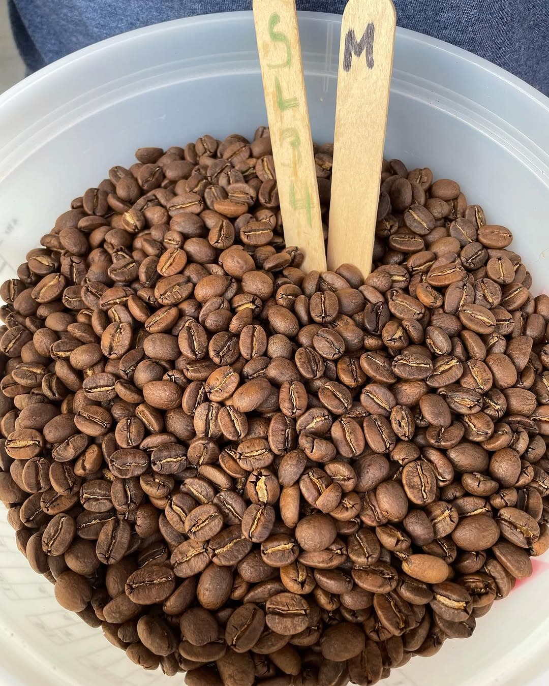 fresh roasted coffee beans online