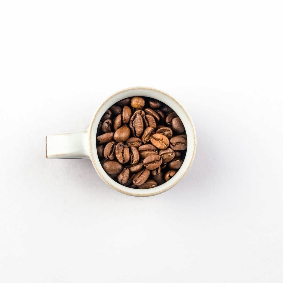 medium roasted brazil santos coffee beans in the coffee cup