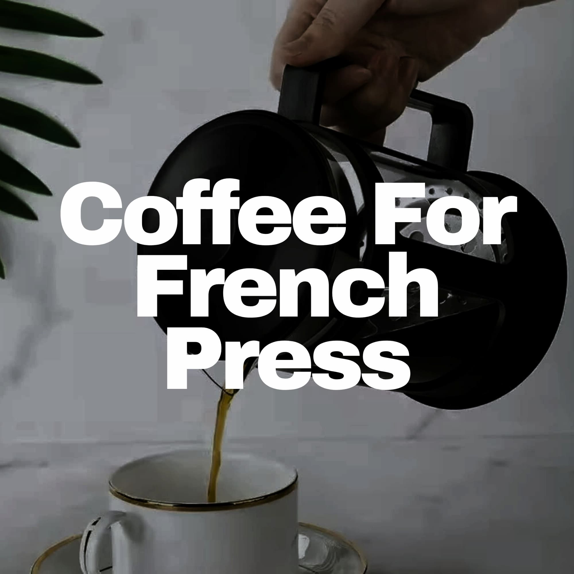 coarse ground coffee for french press