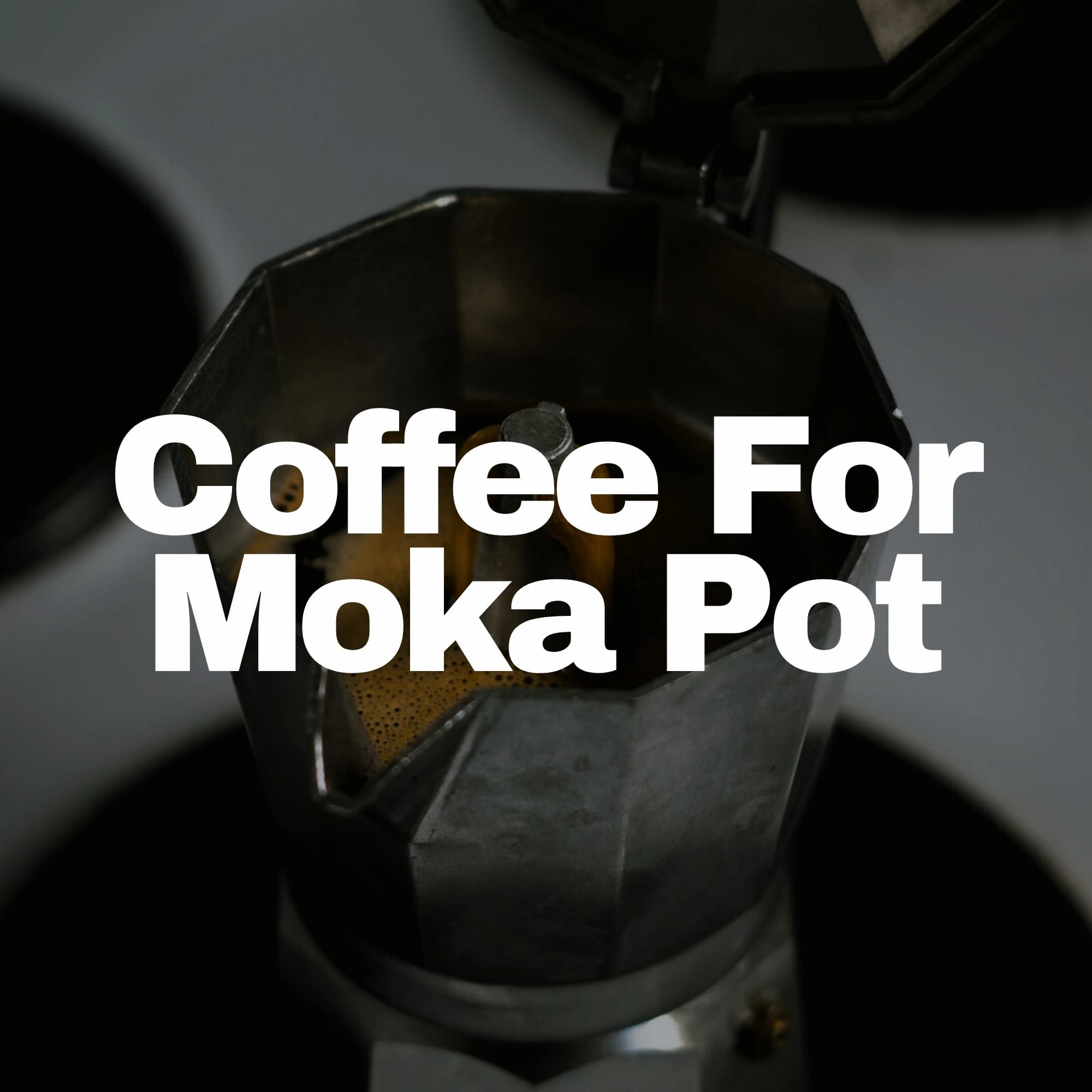 fine ground coffee for moka pot