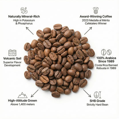 Costa Rica Coffee Beans