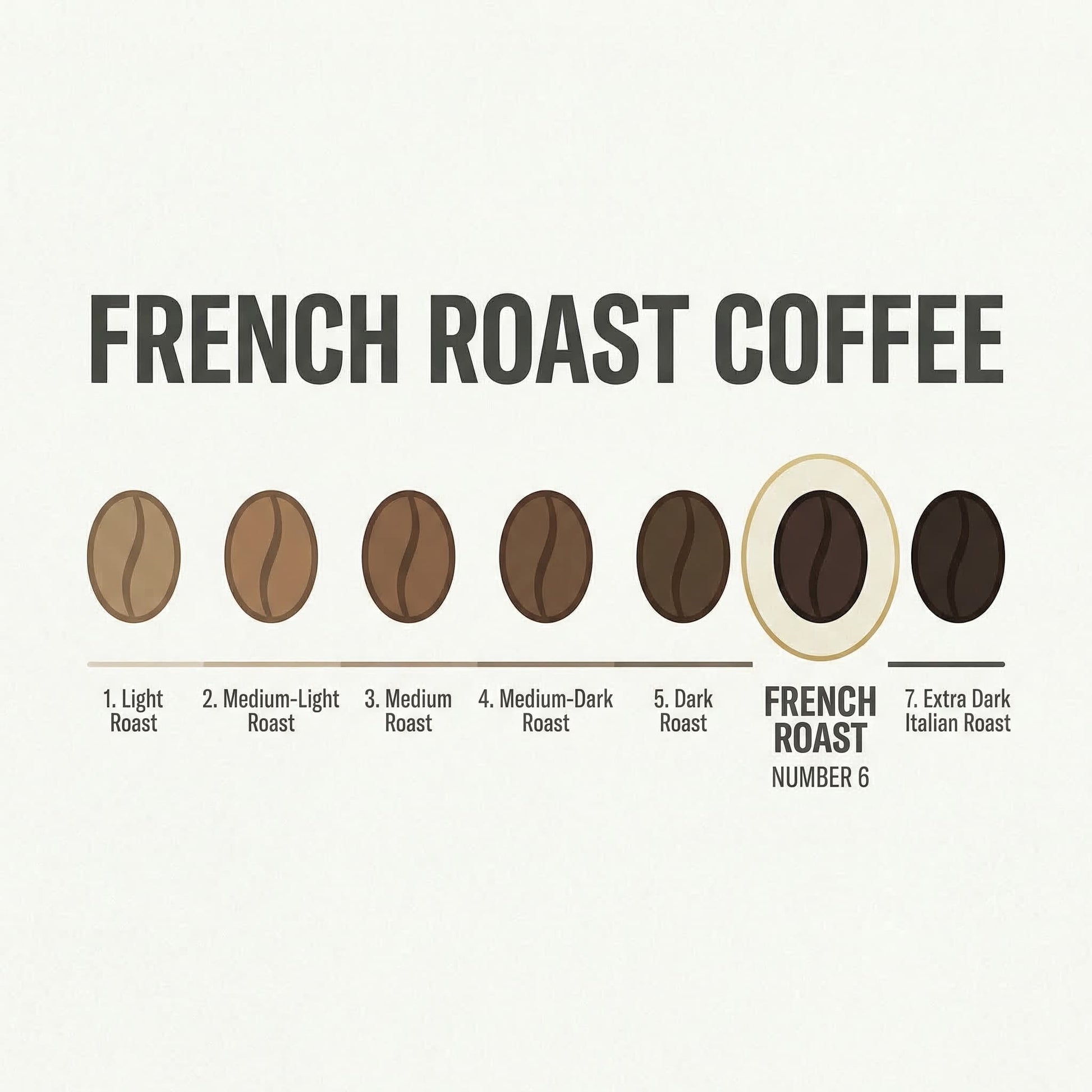 Diagram of French roast coffee beans with labels on a white background