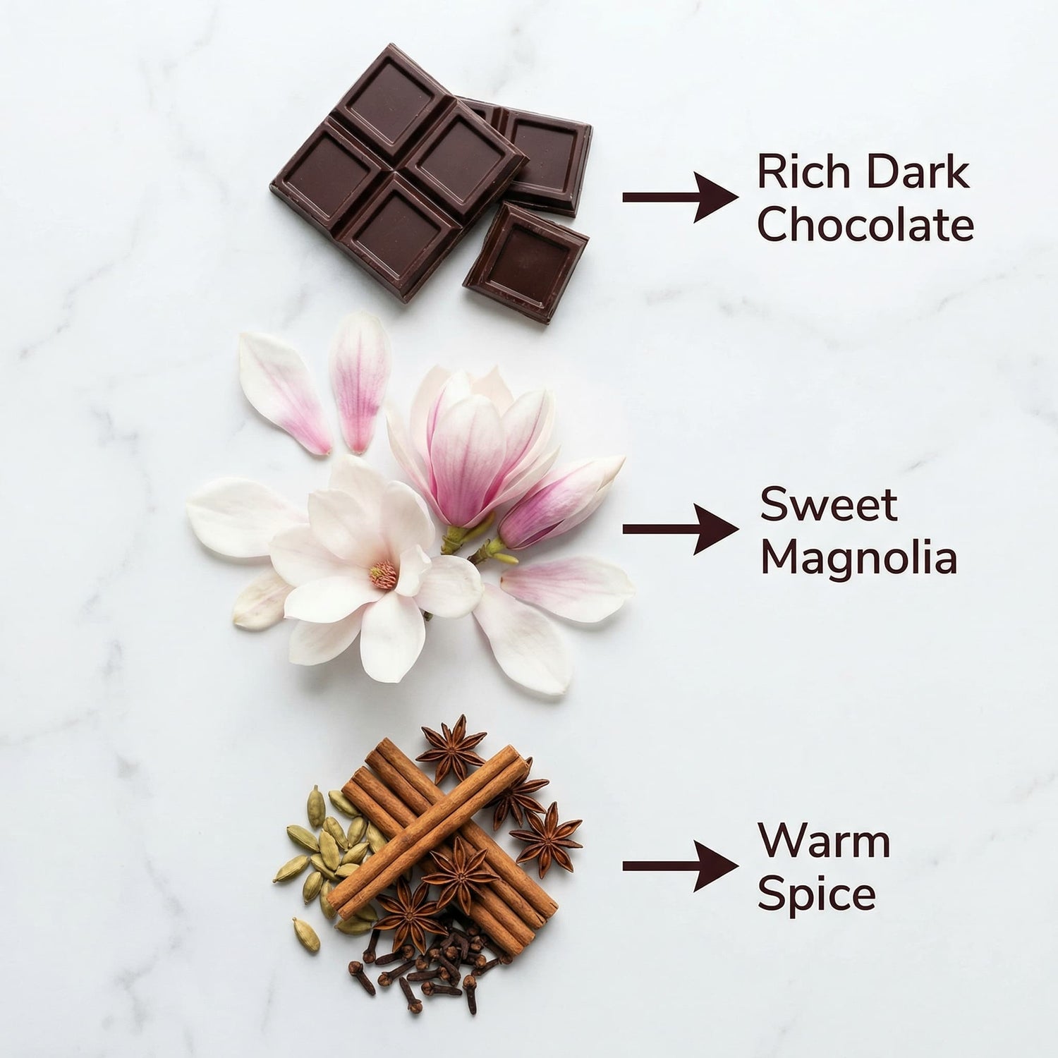Dark chocolate, magnolia flower, and spices on a marble surface with labels as flavor notes of house blend coffee.