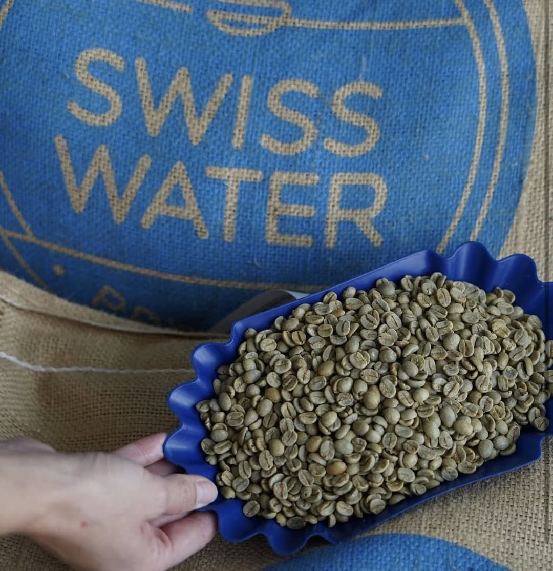 Blue scoop filled with green coffee beans in front of a blue 'Swiss Water' branded bag.