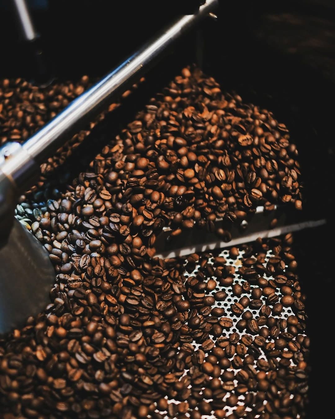 freshly roasted coffee beans